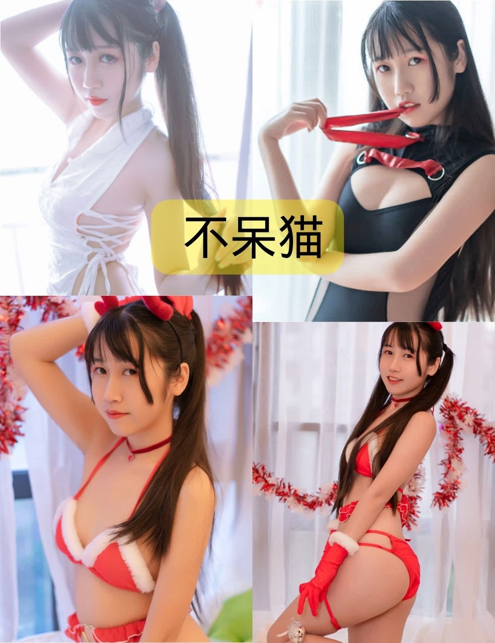 不呆猫(不槑猫)写真合集免费下载