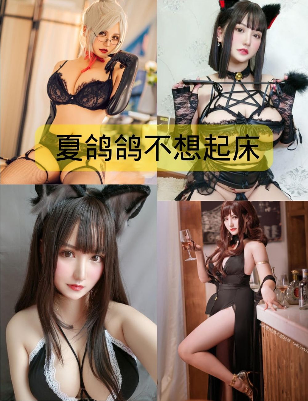 夏鸽鸽不想起床写真照片合集