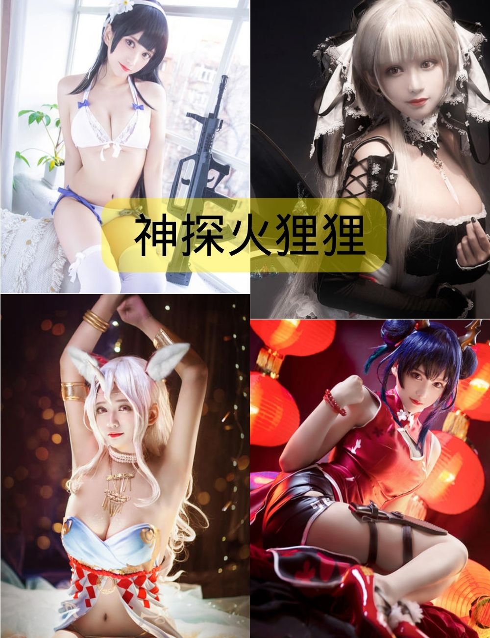 神探火狸狸照片（更新至5期）