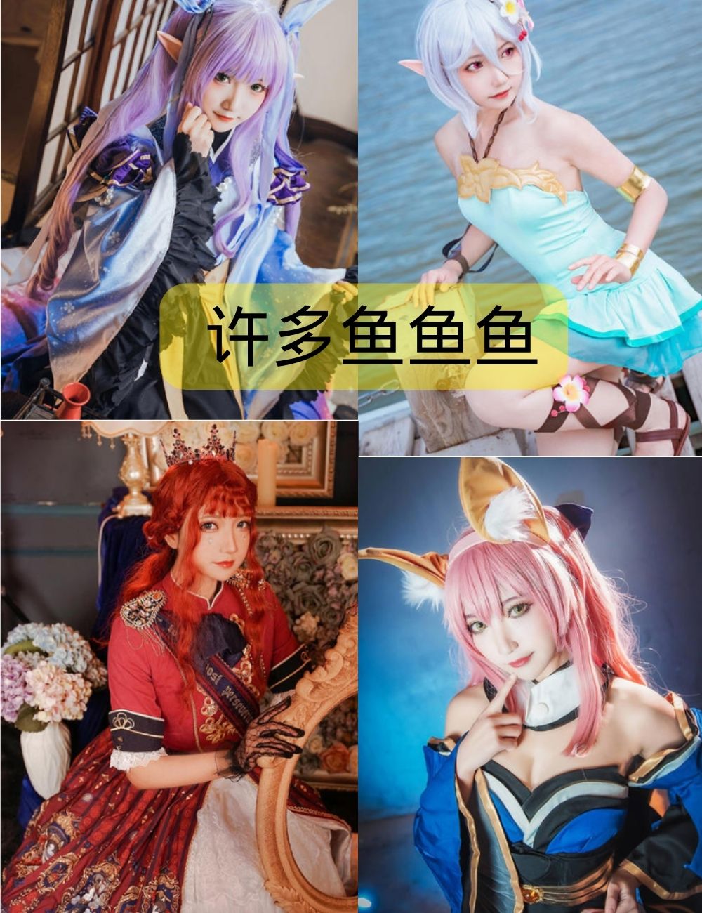 许多鱼鱼鱼写真资源合集下载