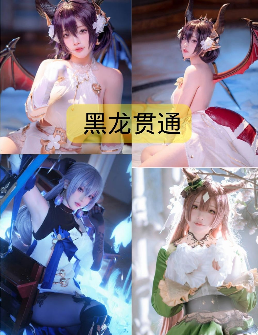 黑龙贯通写真合集下载